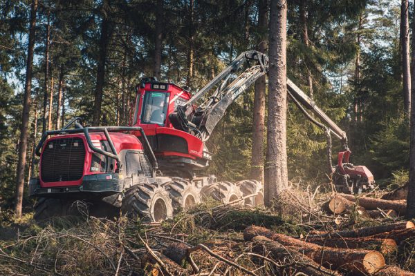 Der Harvester geht forsch zu Werke (© Orths Medien GmbH)